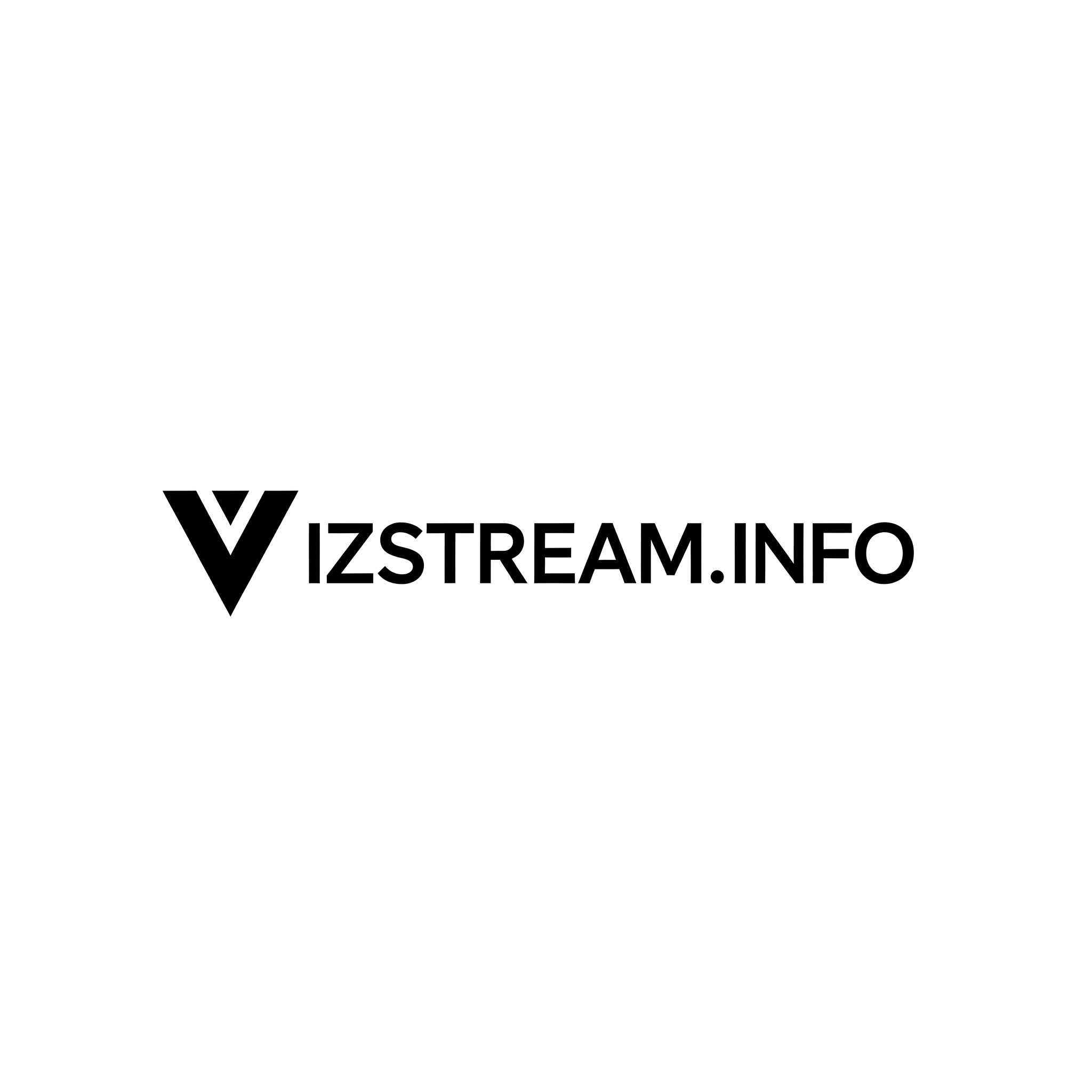 VizStream Logo